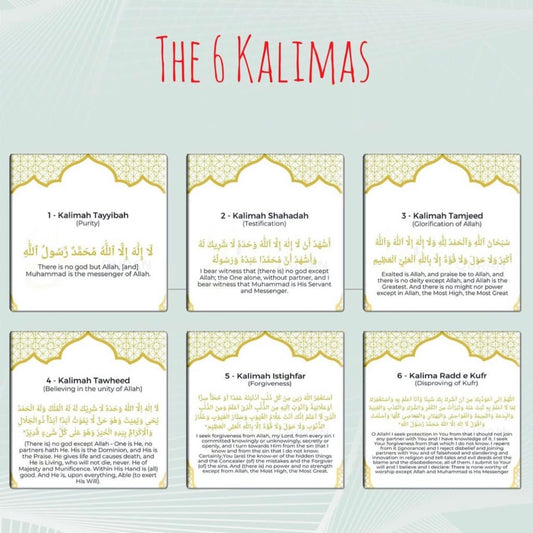 6 kalmas fridge magnets